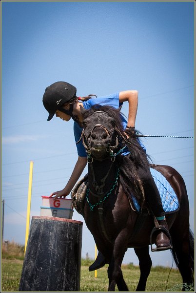 Mounted Games 176